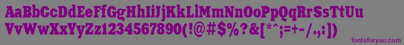 Шрифт Aardvark70n – фиолетовые шрифты на сером фоне