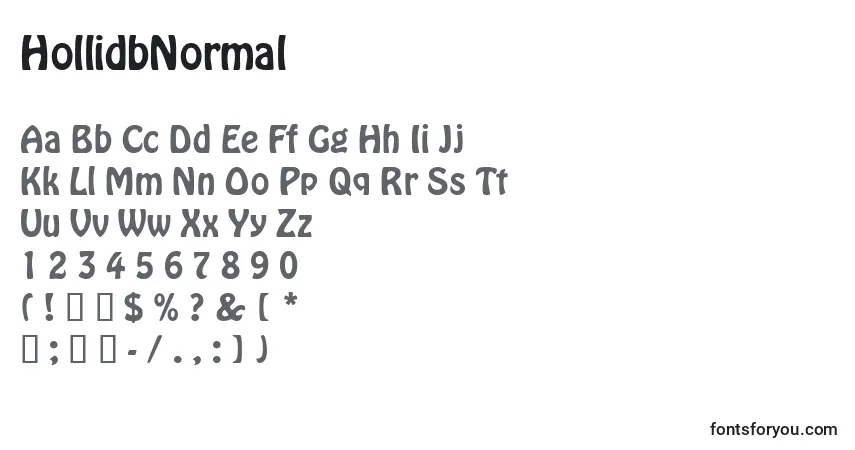 A fonte HollidbNormal – alfabeto, números, caracteres especiais