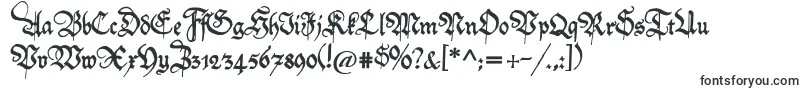Friedolin-fontti – keskiaikaiset fontit