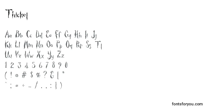 Czcionka Thicket – alfabet, cyfry, specjalne znaki