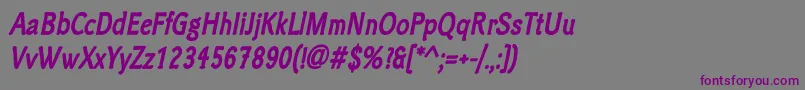 ClicheeBolditalic-Schriftart – Violette Schriften auf grauem Hintergrund