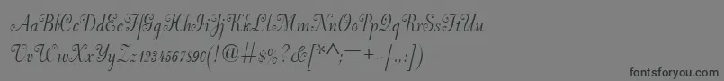 Más sobre la fuente Pfneuscript fuente Pfneuscript – Fuentes Negras Sobre Fondo Gris