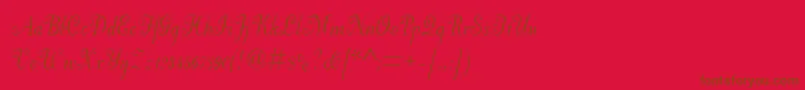 Lisätietoja Pfneuscript-fontista Pfneuscript-fontti – ruskeat fontit punaisella taustalla