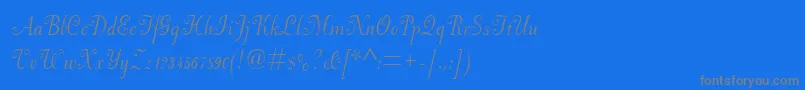 Police Pfneuscript – polices grises sur fond bleu