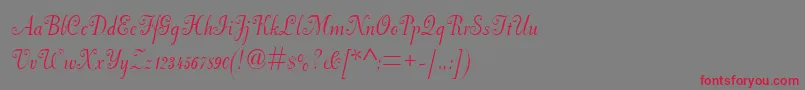 fuente Pfneuscript – Fuentes Rojas Sobre Fondo Gris