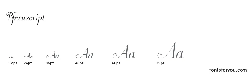Pfneuscript Font Sizes
