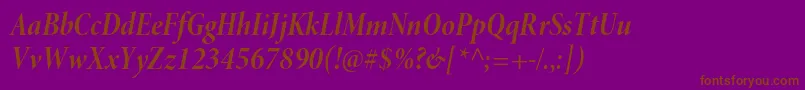 MinionproBoldcnitdisp Font – Brown Fonts on Purple Background