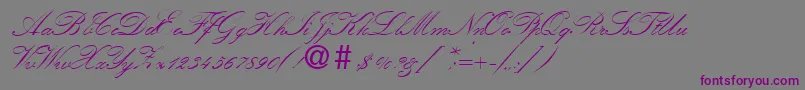 KremlinscriptoneRegular Font – Purple Fonts on Gray Background