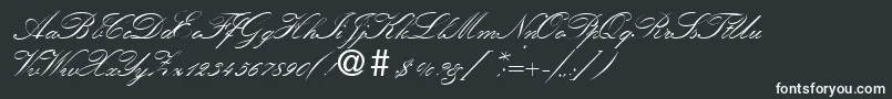 KremlinscriptoneRegular Font – White Fonts