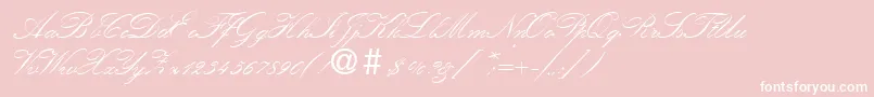 KremlinscriptoneRegular Font – White Fonts on Pink Background