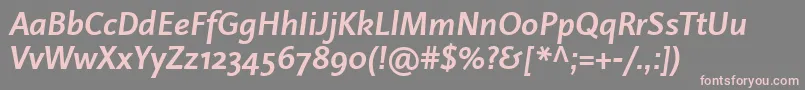 LinotypeProjektBoldItalic Font – Pink Fonts on Gray Background