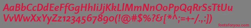 Czcionka LinotypeProjektBoldItalic – czerwone czcionki na szarym tle