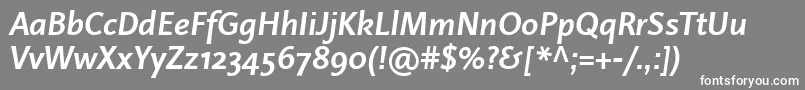 LinotypeProjektBoldItalic Font – White Fonts on Gray Background