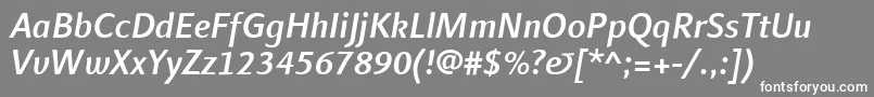 LinotypefinneganMediumitalic Font – White Fonts on Gray Background
