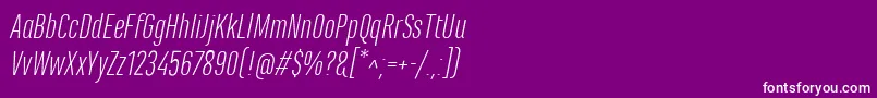 MarianinaCnFyLightItalic Font – White Fonts on Purple Background