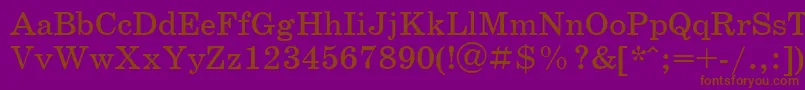 SchoolbookCyrillic Font – Brown Fonts on Purple Background