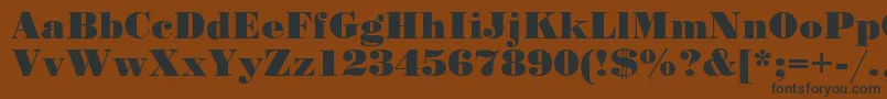 StandartPoster Font – Black Fonts on Brown Background
