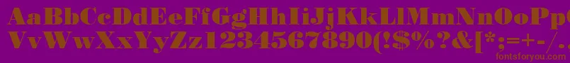 StandartPoster Font – Brown Fonts on Purple Background