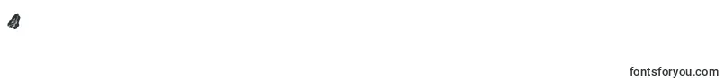Raceflow Font – Fonts for Digit 4