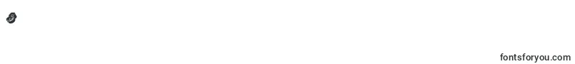 Raceflow Font – Fonts for Digit 8