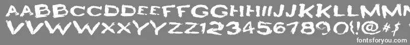 フォントHeyroFun – 灰色の背景に白い文字