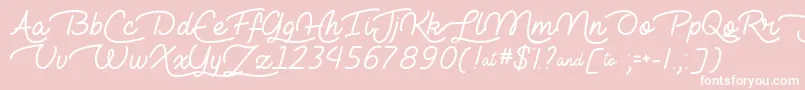 LieToMeTtf Font – White Fonts on Pink Background