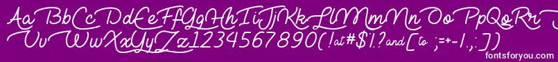 LieToMeTtf Font – White Fonts on Purple Background