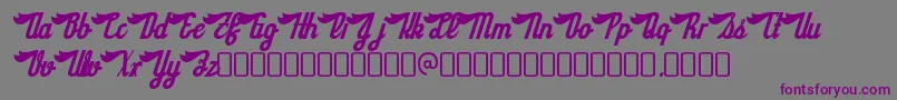 SloeginrickeyRegular Font – Purple Fonts on Gray Background