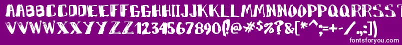 Markym Font – White Fonts on Purple Background