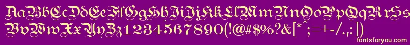 KanzleiLight Font – Yellow Fonts on Purple Background