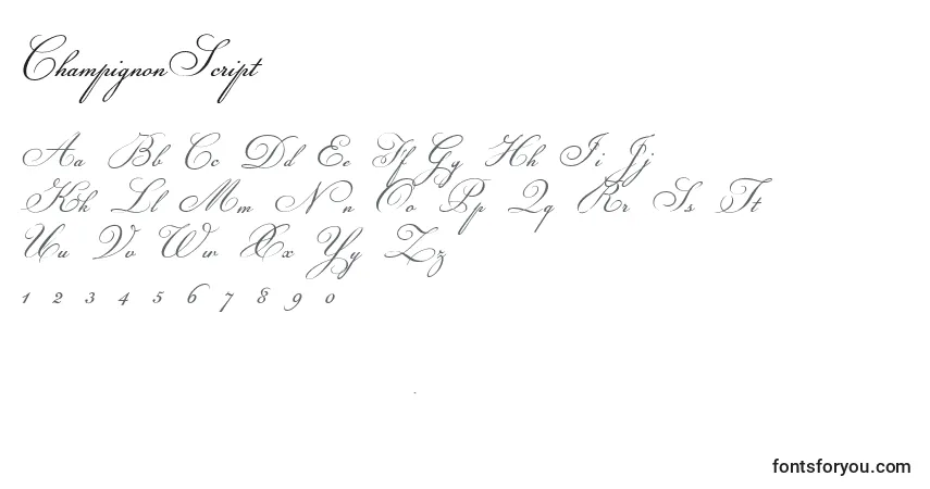 Czcionka ChampignonScript – alfabet, cyfry, specjalne znaki