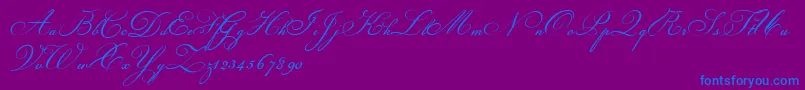 ChampignonScript-Schriftart – Blaue Schriften auf violettem Hintergrund