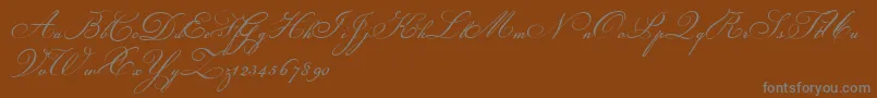 Шрифт ChampignonScript – серые шрифты на коричневом фоне