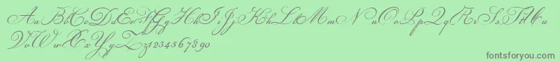 ChampignonScript Font – Gray Fonts on Green Background