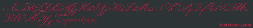 ChampignonScriptフォントについての詳細 フォントChampignonScript – 黒い背景に赤い文字