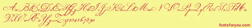ChampignonScript Font – Red Fonts on Yellow Background