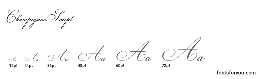 Größen der Schriftart ChampignonScript