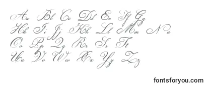 ChampignonScript Font