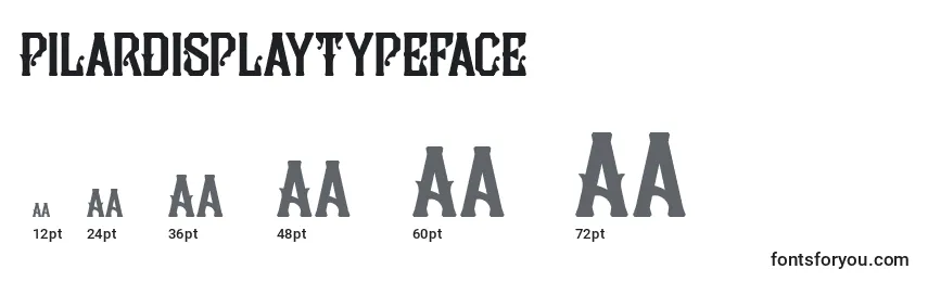 Размеры шрифта PilarDisplayTypeface