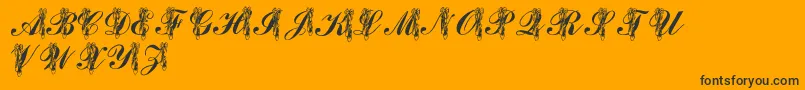 LmsToeShoes Font – Black Fonts on Orange Background