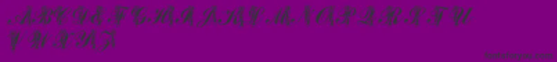 LmsToeShoes Font – Black Fonts on Purple Background