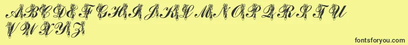 LmsToeShoes Font – Black Fonts on Yellow Background