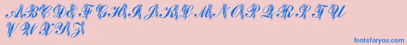 LmsToeShoes-Schriftart – Blaue Schriften auf rosa Hintergrund