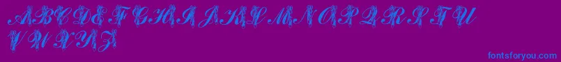 LmsToeShoes-Schriftart – Blaue Schriften auf violettem Hintergrund