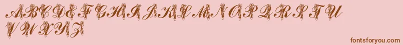 LmsToeShoes Font – Brown Fonts on Pink Background