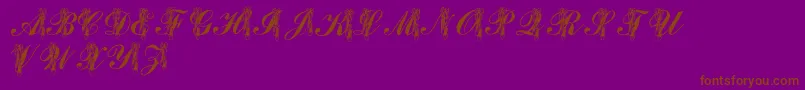 LmsToeShoes-Schriftart – Braune Schriften auf violettem Hintergrund