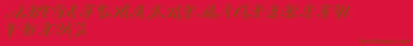 LmsToeShoes Font – Brown Fonts on Red Background