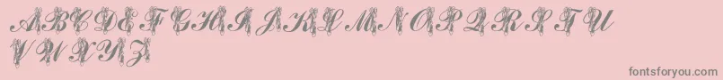 フォントLmsToeShoes – ピンクの背景に灰色の文字