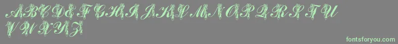 LmsToeShoes Font – Green Fonts on Gray Background
