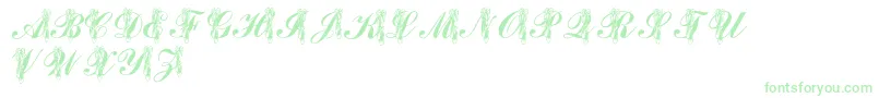 LmsToeShoes Font – Green Fonts on White Background